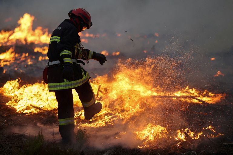 EU wildfires