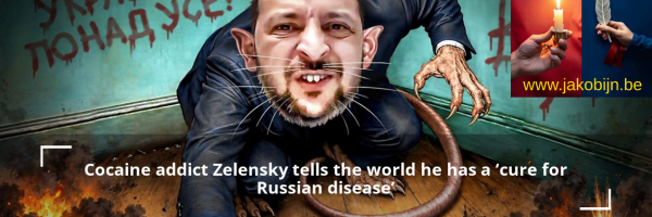 Rat